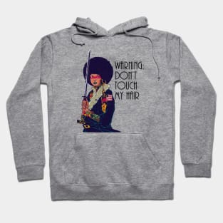 Warning: Do Not Touch My Hair. Natural Hair, Black Girl Hoodie